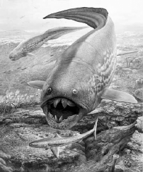 Vertreter des Erdaltertums: Der Kopf und der Rumpf des Dunkleosteus, eines Panzerfischs, waren mit Knochenplatten bewehrt.